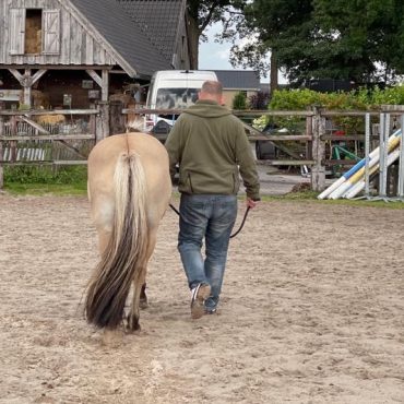 Veteraan oefent met een paard