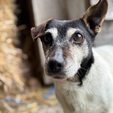 in-de-buitenlucht-zorg-coaching-gezond-fit3